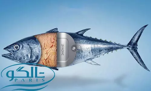 تاثیر ماهی بر تغذیه پوست