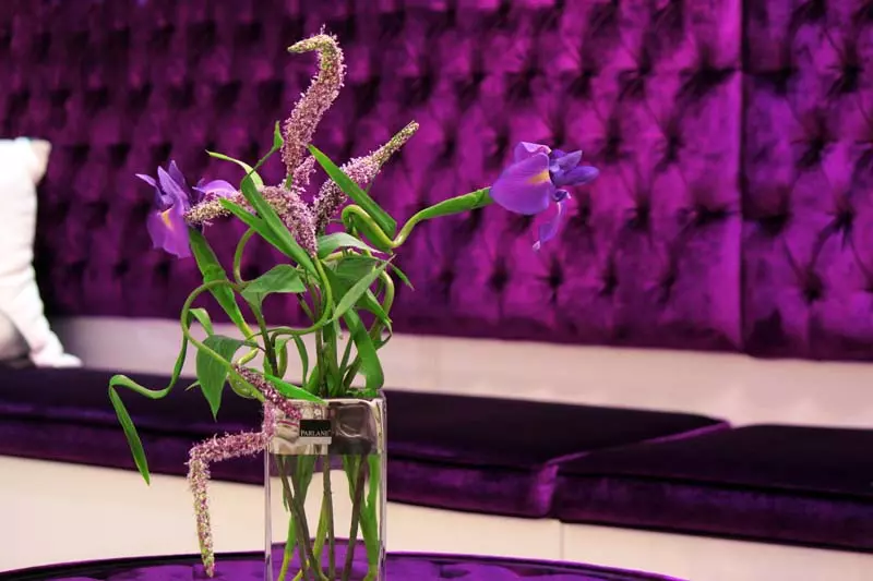 گالری تصاویر