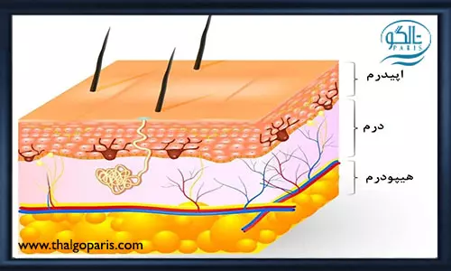 زمان مناسب استفاده از لایه بردار پوست