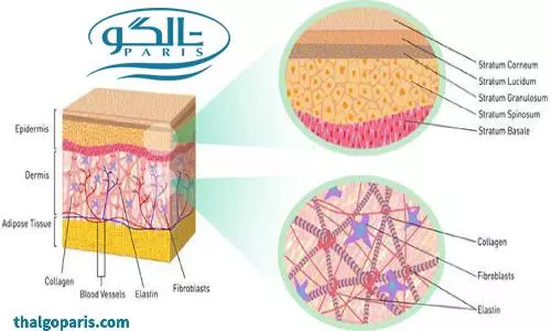 ضد چروک بالای 25 سال برنامه کلاژن